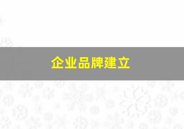 企业品牌建立