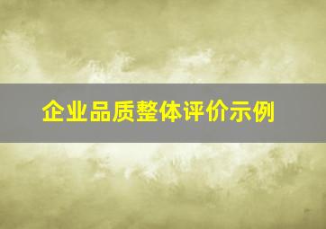 企业品质整体评价示例