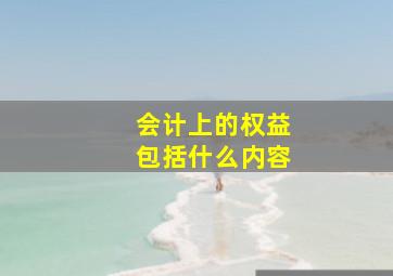 会计上的权益包括什么内容