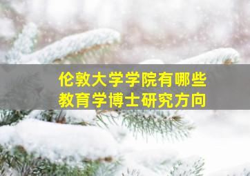 伦敦大学学院有哪些教育学博士研究方向