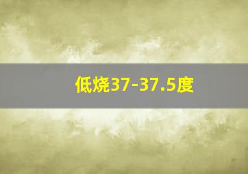 低烧37-37.5度