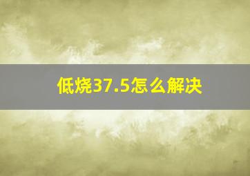 低烧37.5怎么解决