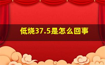 低烧37.5是怎么回事