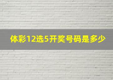 体彩12选5开奖号码是多少