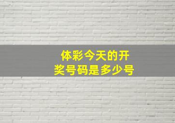 体彩今天的开奖号码是多少号