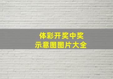 体彩开奖中奖示意图图片大全