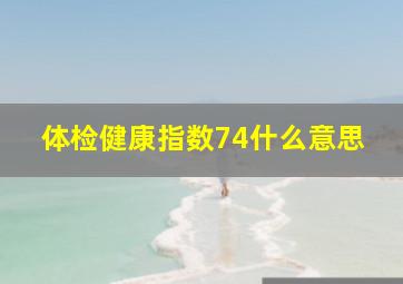 体检健康指数74什么意思