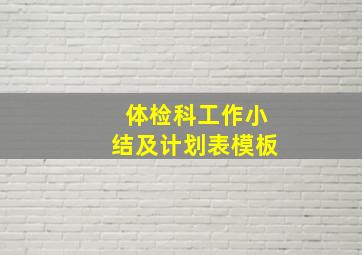 体检科工作小结及计划表模板