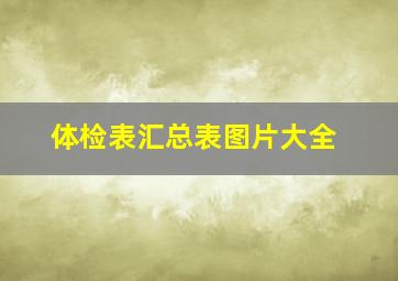 体检表汇总表图片大全