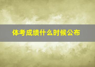 体考成绩什么时候公布