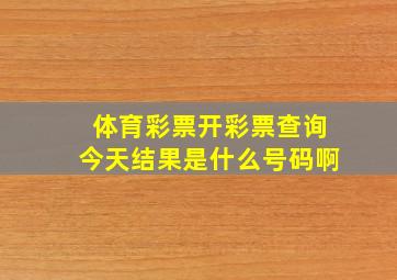 体育彩票开彩票查询今天结果是什么号码啊