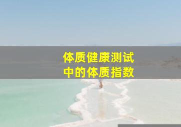 体质健康测试中的体质指数