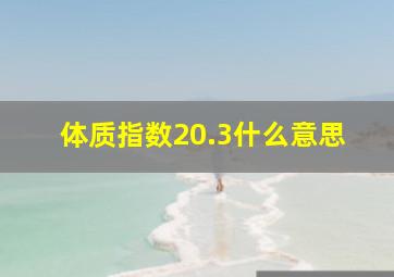 体质指数20.3什么意思