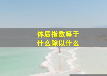 体质指数等于什么除以什么