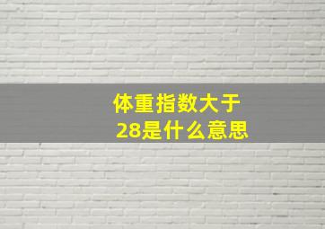 体重指数大于28是什么意思