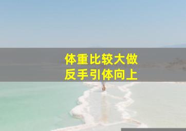 体重比较大做反手引体向上