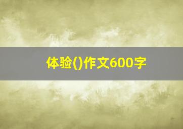 体验()作文600字