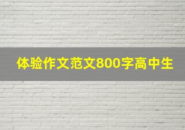 体验作文范文800字高中生