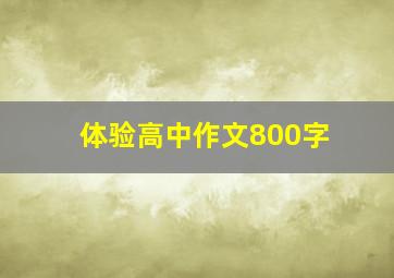 体验高中作文800字