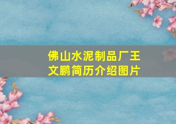 佛山水泥制品厂王文鹏简历介绍图片