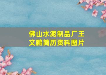 佛山水泥制品厂王文鹏简历资料图片