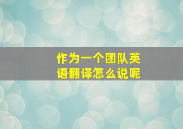 作为一个团队英语翻译怎么说呢