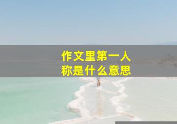 作文里第一人称是什么意思