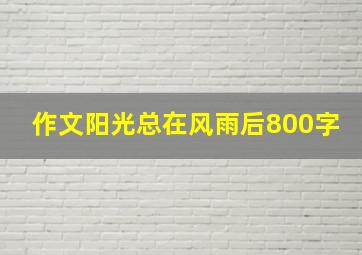 作文阳光总在风雨后800字