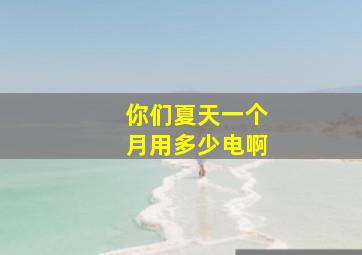 你们夏天一个月用多少电啊