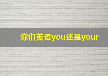 你们英语you还是your