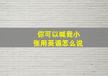 你可以喊我小张用英语怎么说