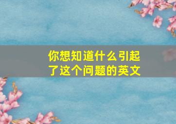 你想知道什么引起了这个问题的英文