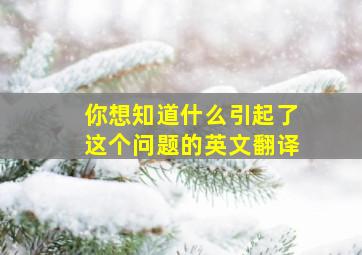 你想知道什么引起了这个问题的英文翻译