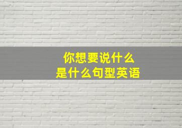 你想要说什么是什么句型英语