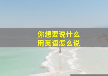 你想要说什么用英语怎么说