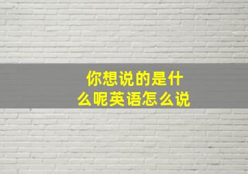 你想说的是什么呢英语怎么说