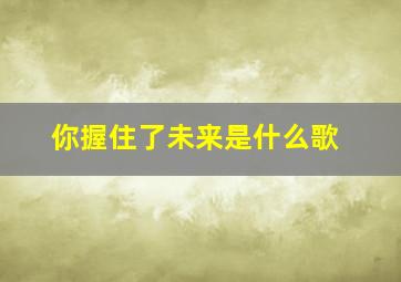 你握住了未来是什么歌