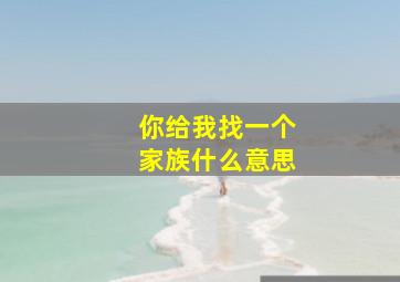 你给我找一个家族什么意思