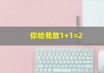 你给我放1+1=2