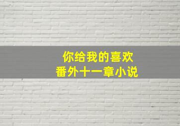 你给我的喜欢番外十一章小说