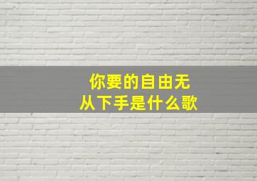 你要的自由无从下手是什么歌