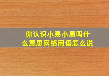 你认识小易小易吗什么意思网络用语怎么说