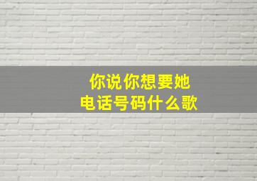 你说你想要她电话号码什么歌