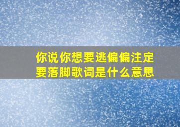 你说你想要逃偏偏注定要落脚歌词是什么意思