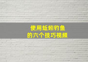 使用蚯蚓钓鱼的六个技巧视频