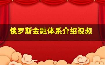 俄罗斯金融体系介绍视频