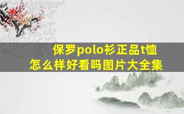 保罗polo衫正品t恤怎么样好看吗图片大全集