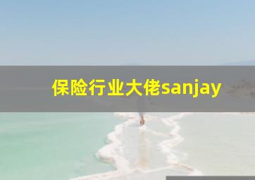 保险行业大佬sanjay