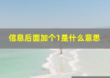 信息后面加个1是什么意思