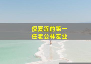 倪夏莲的第一任老公林宏业